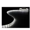 Velleman Ruban LED flexible - PEREL - Blanc froid - 300 LED - 5m