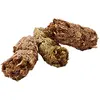 1,75kg Cavia Complete Versele-Laga - Nourriture pour cochon d'Inde