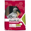 Versele-Laga Pigeon champion plus 20 kg versele