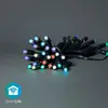 NEDIS Guirlande lumineuse wi-fi intelligente à led rgb 48 led's 180cm android / ios