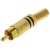 Valueline VGAP24900B Connecteur Rca Mâle Métal Doré