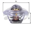 Thermostat d'eau TH12888G1 Gates TH12888G1