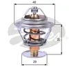 Thermostat d'eau TH10489G1 Gates TH10489G1