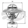 Thermostat d'eau TH00782G1 Gates TH00782G1