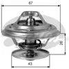 Thermostat d'eau TH01991G1 Gates TH01991G1