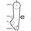 Courroie crantée PowerGrip® 5225XS Gates 5225XS