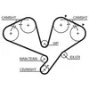 Courroie De Distribution Gates 5442xs