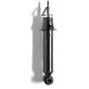 Amortisseur MONROE ORIGINAL (Gas Technology) G2216 G2216