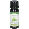 Physalis Patchouli | 10 ml