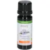 Physalis Romarin | 10 ml