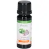 Physalis Origan | 10 ml
