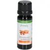 Physalis Cannelle | 5 ml