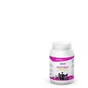 Etixx Isotonic Orange-Mangue | 1000 g