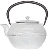 Théière - COSY&TRENDY - Osaka - Fonte - 1,2 L - Filtre inox amovible - Blanc