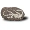FOSSILE DE DINOSAURE à gratter  - BONES AND MORE Jeu educatifs  - 2020001 