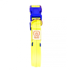 Collier Chien - Duvoplus flash light USB - 40-55 cm
