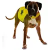 Duvo Gilet de sécurité jaune fluo pour chien 56 cm