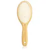 OLIVIA GARDEN BROSSE HEALTHY HAIR IONISÉE HH-P5 AVEC TÊTE PERCÉE, OVAL...