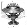 Thermostat d'eau TH31482G1 Gates TH31482G1