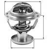 Thermostat d'eau TH32387G1 Gates TH32387G1