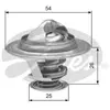 Thermostat d'eau TH22779G1 Gates TH22779G1