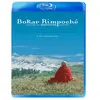 Bqhl Bokar Rimpoché - Maître de méditation - Blu-Ray