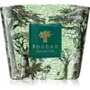 Baobab Collection Sacred Trees Touba bougie parfumée 500 g