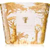 Baobab Collection Sacred Trees Bounkani bougie parfumée 500 g