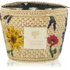 Baobab Collection Vony Ahitra bougie parfumée 500 g