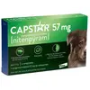 BAYER Capstar 57Mg Chiens 6 Comprimés