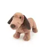 Egmont Toys Egmont Toys Jouet Doux Chien Edward 20 Cm