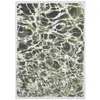 Tapis salon et chambre tissé plat 170x240 cm Vert