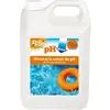 PH moins - BSI - pH down liquide - Pour diminuer et stabiliser le pH -...