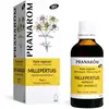 Pranarom Bio Huile Millepertuis - Hypericum Perforatum 50ml