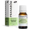 Pranarom Pranarôm Bio Huile Essentielle Gaulthérie Odorante 10 Ml