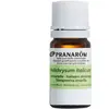 Pranarom Huile Essentielle Immortelle Bio 5ml