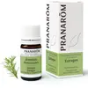 Pranarom Huile Essentielle Prédiluée Estragon 5ml