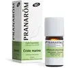Pranarom Pranarôm Huile Essentielle Criste Marine (Crithmum maritimum) Bio 5 ml