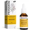 Pranarom Pranarôm Huile Végétale Prédiluée Argousier Bio 30 ml