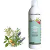 Pranarom Aromaforce Spray Assainissant Ravintsara Tea Tree Bio 400ml