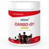 Etixx Carbo-GY Drink Red Fruits | 1000 g