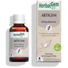 Herbalgem Complexe de Gemmothérapie Artigem Articulation Bio 30ml