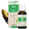 Herbalgem Macérat Concentré Frêne Bio 30ml
