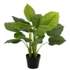 Plante Artificielle en Pot Pothos 55cm Vert