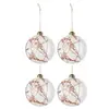 J-Line Boite De 4 Boules De Noel Fleurs Sechees Rouille Verre Transparant Large TU