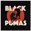 PIAS Black Pumas Black Pumas (Interprète) Vinyle album