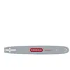 OREGON 160SXEA095 91 Series Pro AM PIGNON-Piercing Nez A095 avec support