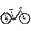 Urban Jungle Vélo électrique Barrio 3.0 Performance M