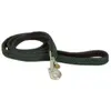 Kentucky Dogwear - Laisse pour chien - Nylon tressé - Vert olive - 200cm