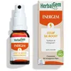Herbalgem Energem Coup De Boost Spray Bio 15 Ml